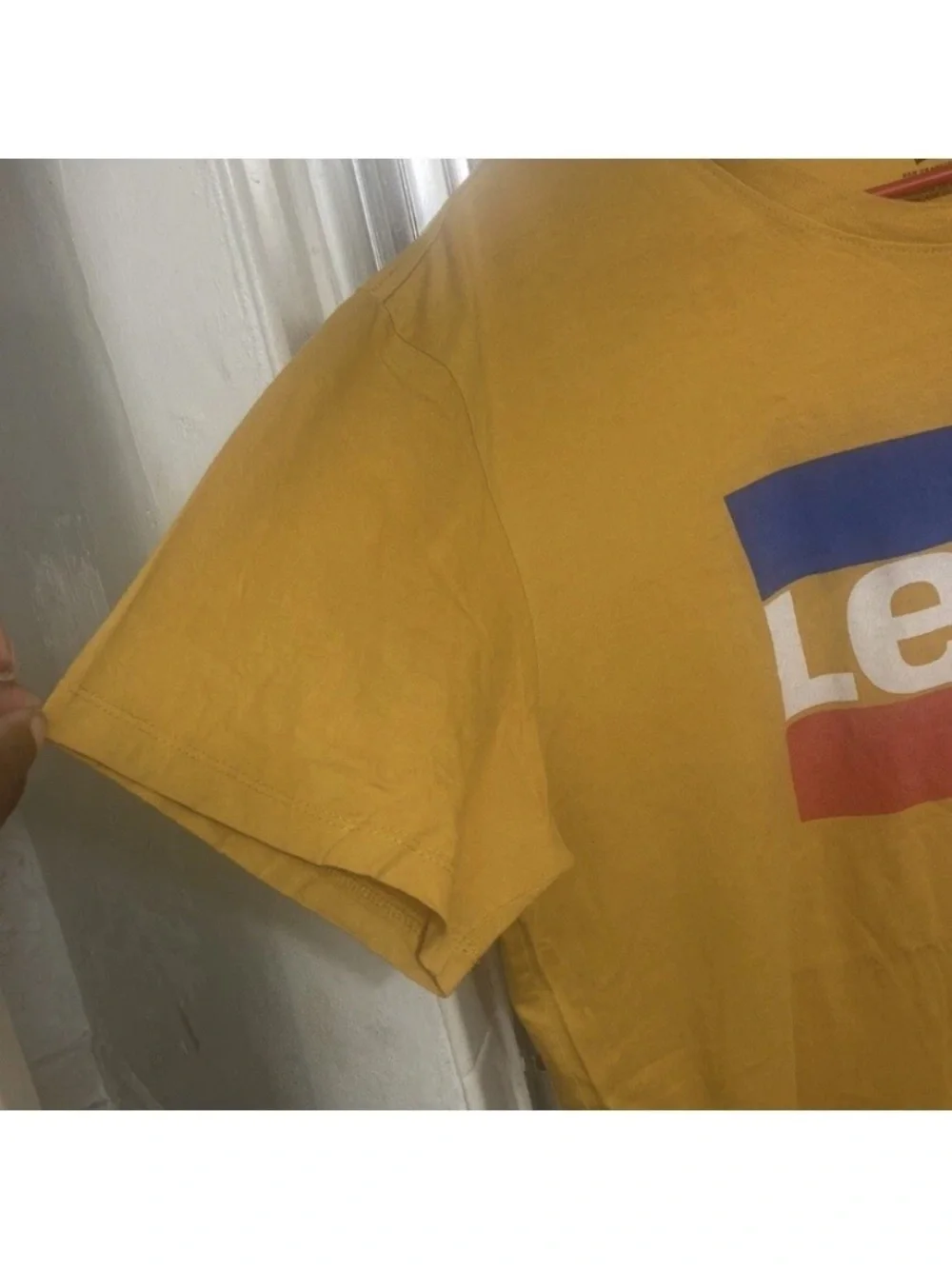 Levis iconic levi